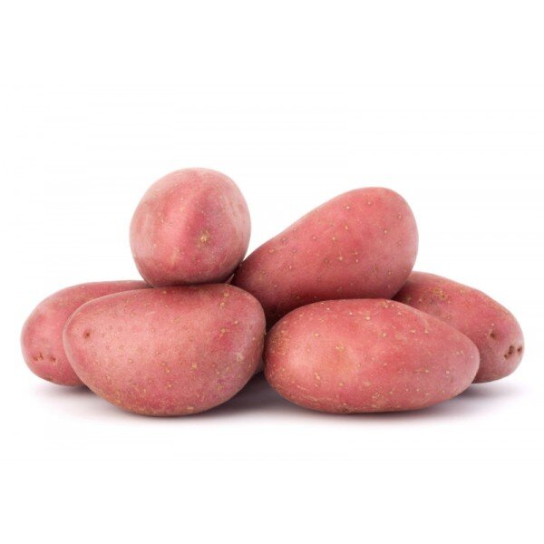 http://www.mymarket.ma/cdn/shop/products/pomme-de-terre-rouge-bio-1kg.jpg?v=1640705186