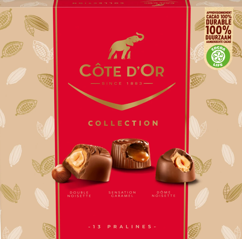 Assortiment de 13 chocolats au lait pralinés Collection COTE D'OR 135g