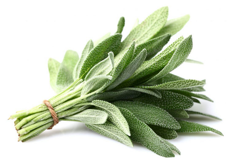 Sage (Salmia) 1 bunch